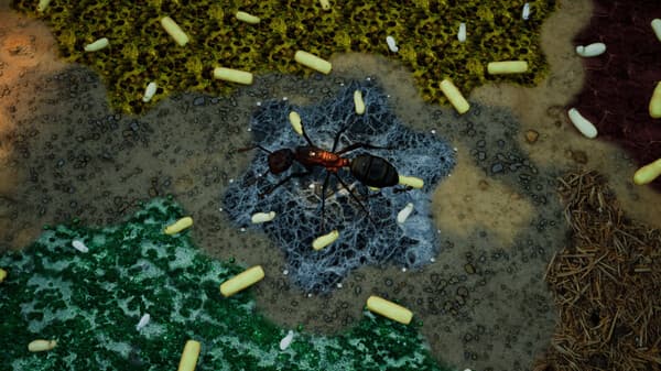 Exploding Ants screenshot